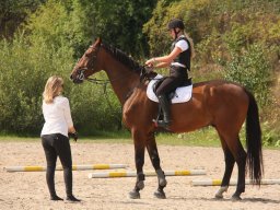 IMG_0883_web